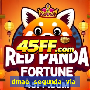 dmae segunda via porto alegre